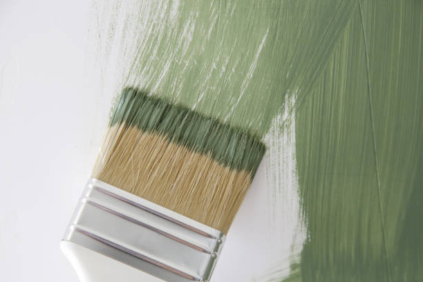 Best Mold Removal for HVAC Installations  in Spring Valley, AZ