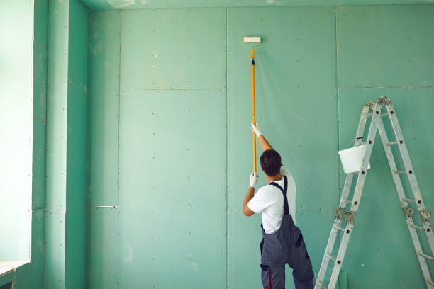Best Residential Mold Inspection & Testing  in Spring Valley, AZ
