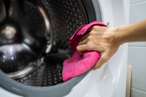 Best Mold Damage Restoration  in Spring Valley, AZ