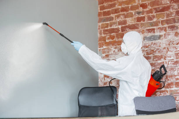 Best Biohazard Mold Removal  in Spring Valley, AZ
