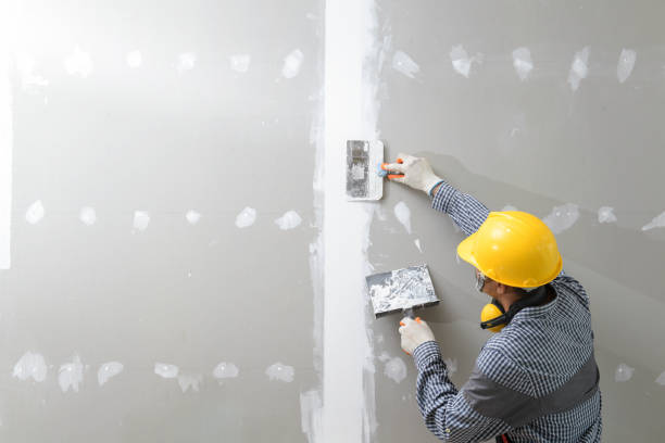 Best Comprehensive Air Testing for Mold Contaminants  in Spring Valley, AZ