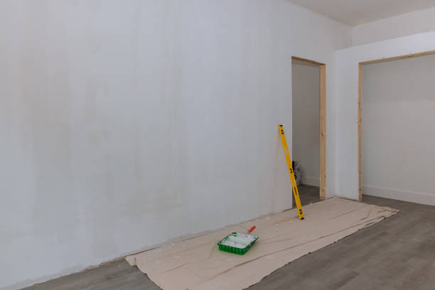 Reliable Spring Valley, AZ Mold Removal Solutions