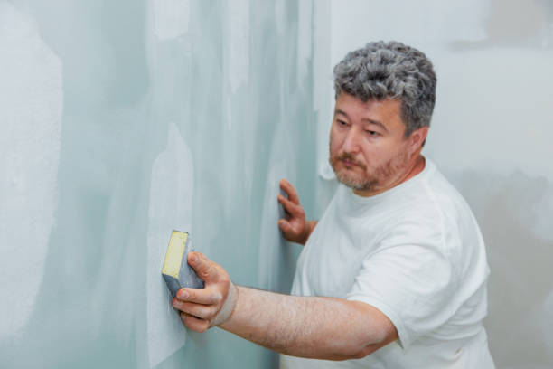 Best Post-Remediation Verification Testing  in Spring Valley, AZ