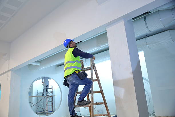 Best Industrial Mold Remediation  in Spring Valley, AZ