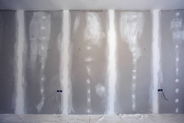 Best Black Mold Removal  in Spring Valley, AZ
