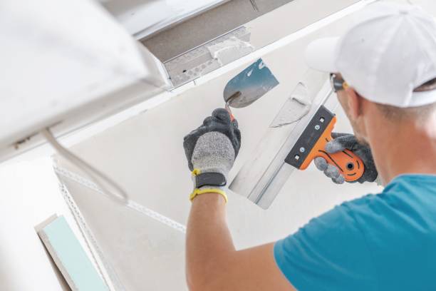 Environmental Consulting for Mold Prevention in Spring Valley, AZ